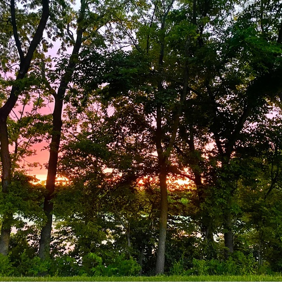 Meet your Posher ⭐️ - Picture 10 of 13